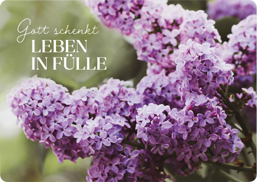 Postkarte - Postkarte 'Gott schenkt Leben in Fülle' - Blumen