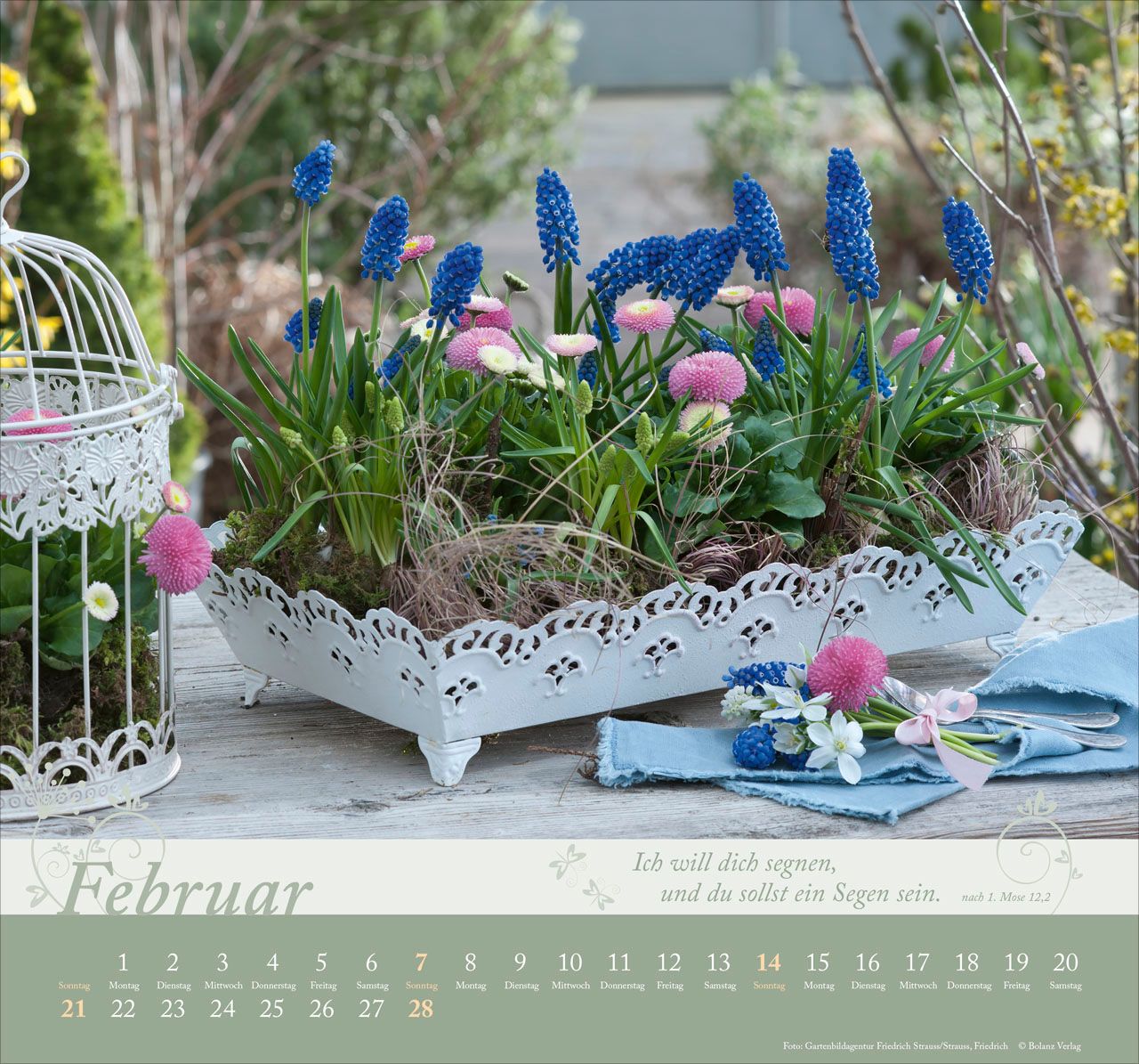 Wandkalender - Im Garten zuhause 2027 Wandkalender
