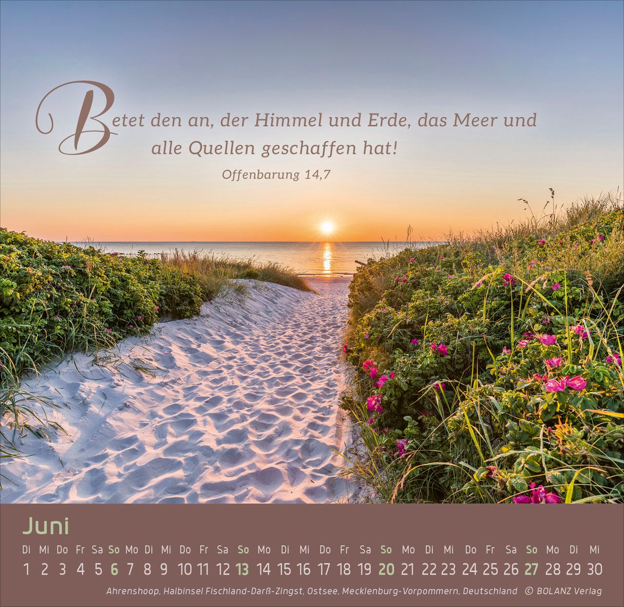 Tischkalender - Weg - Licht - Leben 2027 Tischkalender
