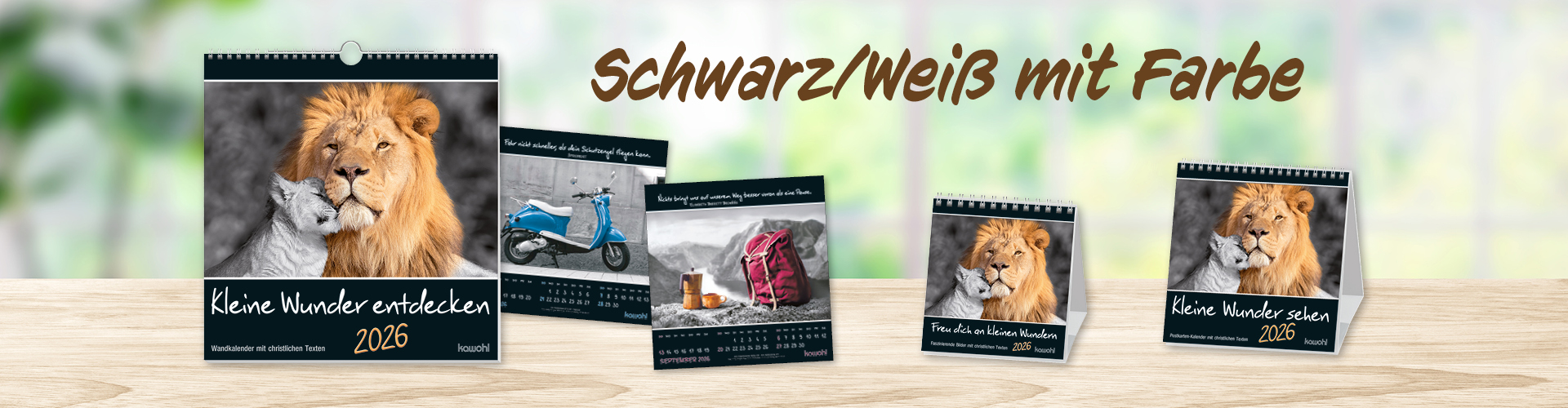 Kalender mit Schwarz-Weiß-Fotos und Farbakzenten und christlichen Texten. The-men: Entdeckung kleiner Wunder.
