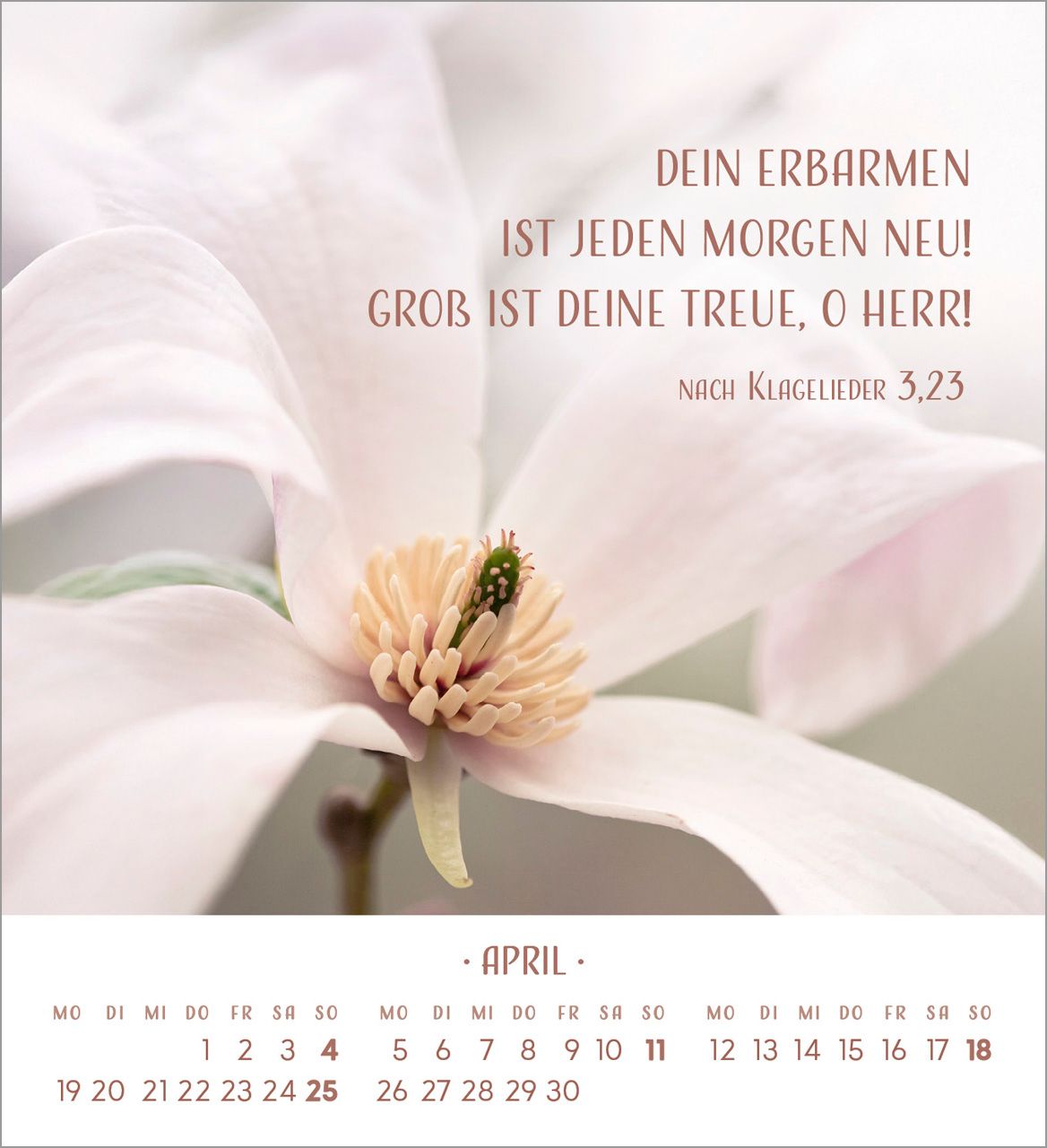 Tischkalender - Zarte Blumengrüße 2027
