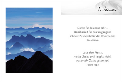 Geschenkbuch - 366 gute Gedanken - Blüten am Ast