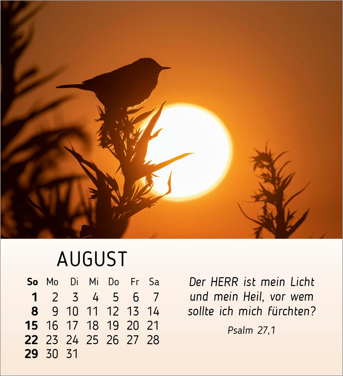 Tischkalender - Schönheit des Lichts 2027