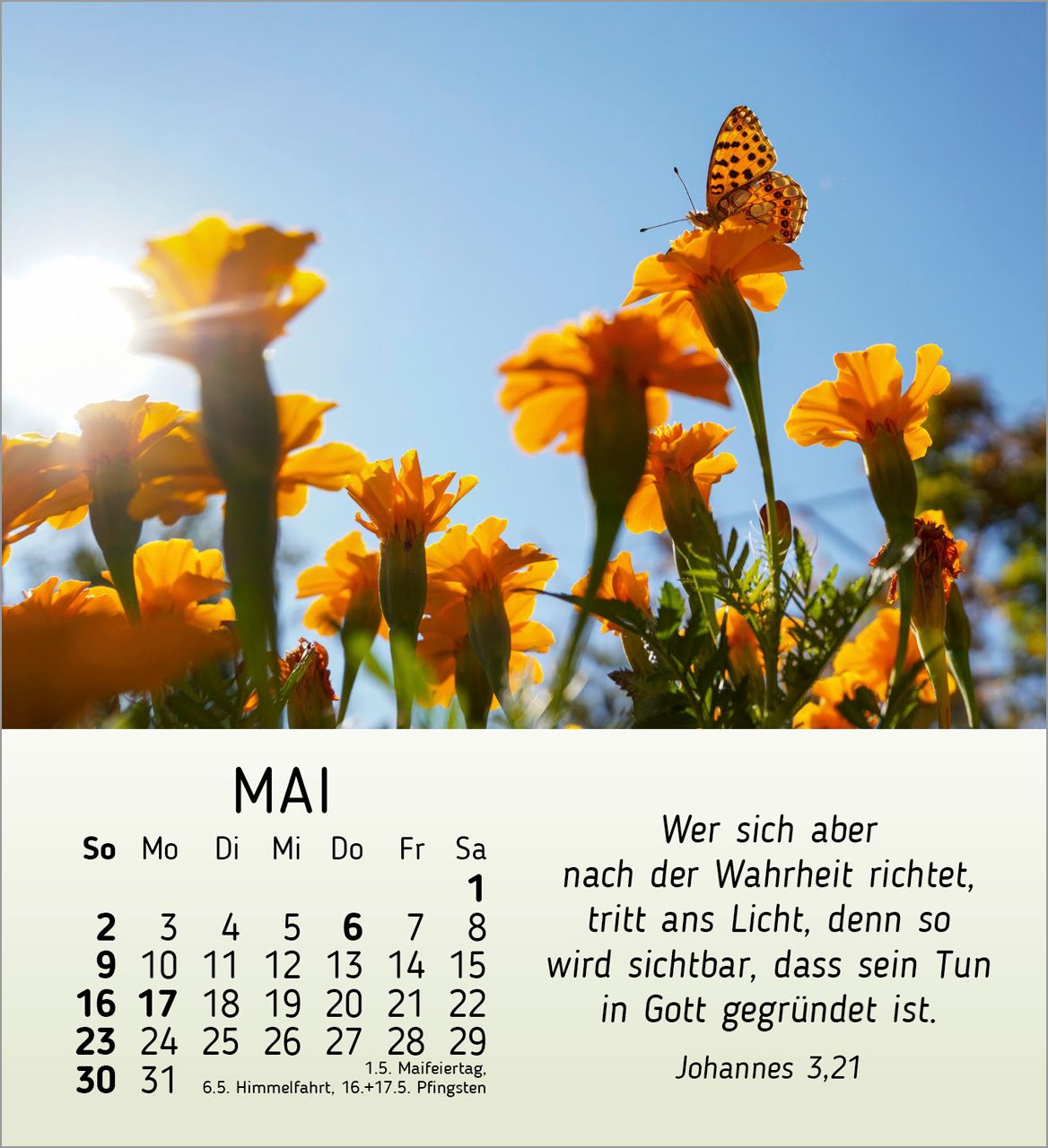 Tischkalender - Schönheit des Lichts 2027
