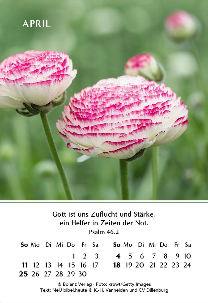 Aufstellkalender - Ein Jahr der Freude 2027