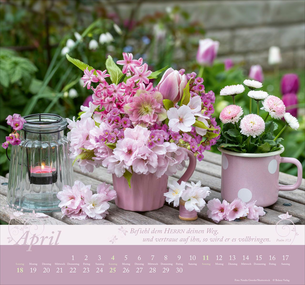 Wandkalender - Im Garten zuhause 2027 Wandkalender