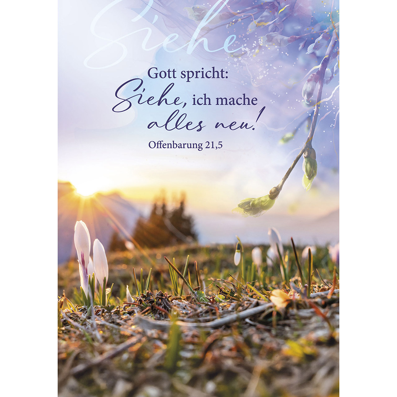 Gott spricht: Siehe, ich mache alles neu!