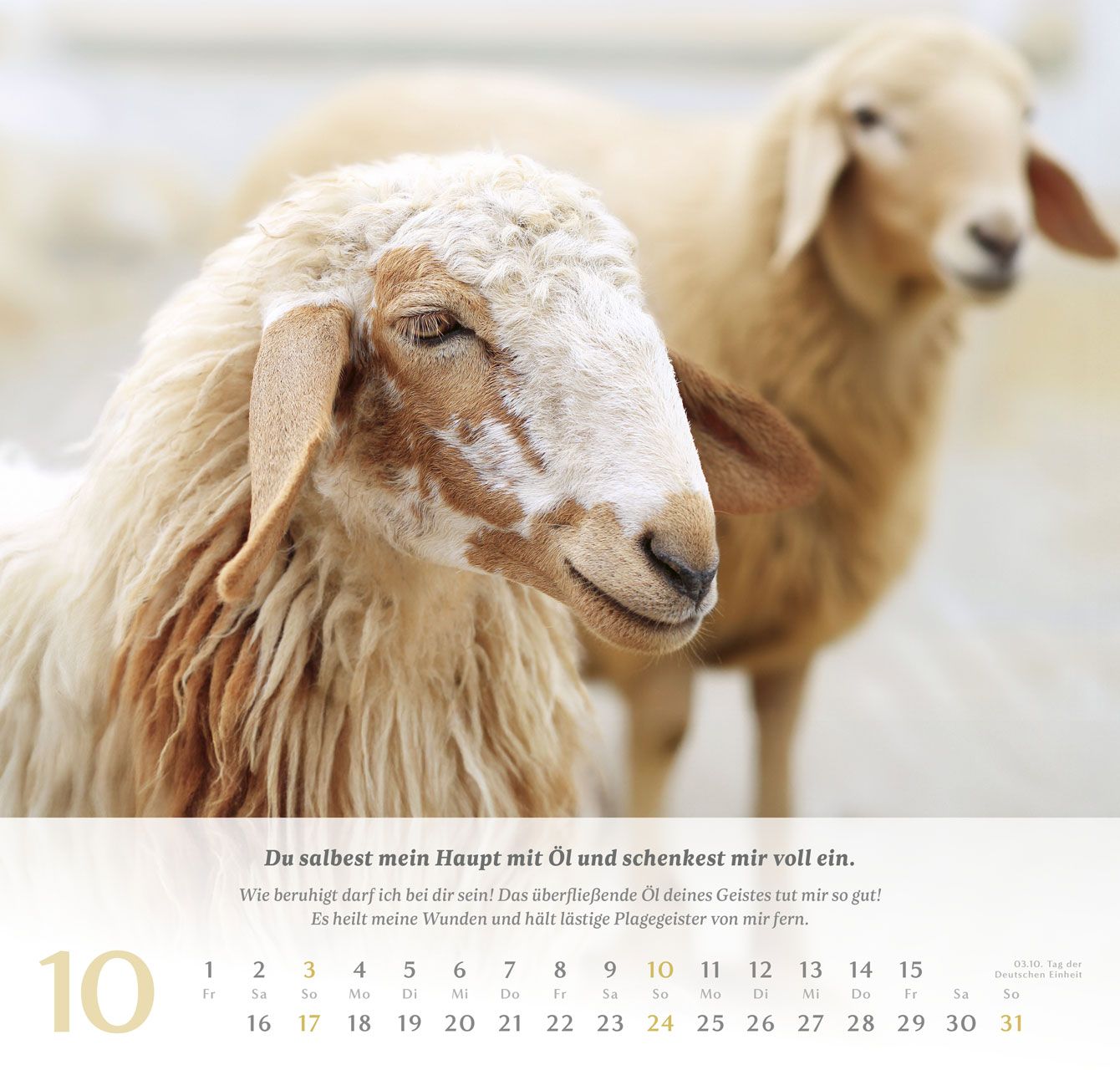 Wandkalender - Psalm 23 2027 Wandkalender