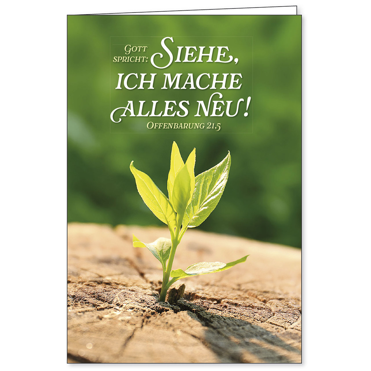 Gott spricht: Siehe, ich mache alles neu!
