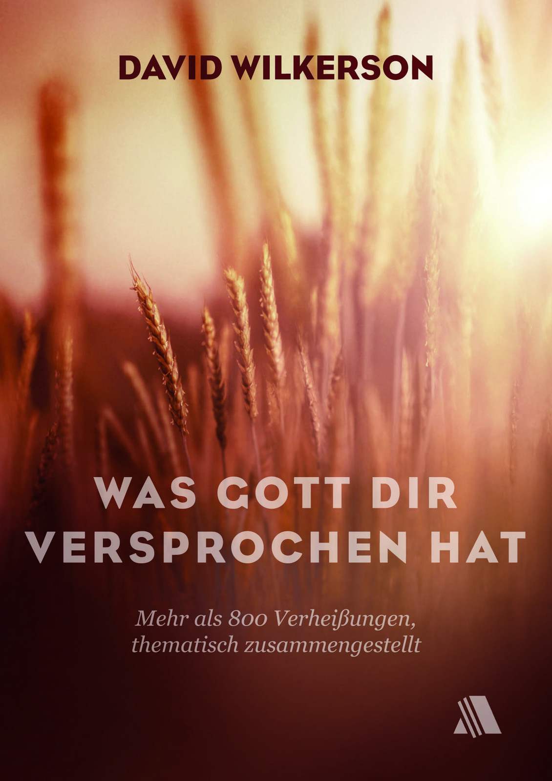 Was Gott dir versprochen hat Buch - Was Gott dir versprochen hat