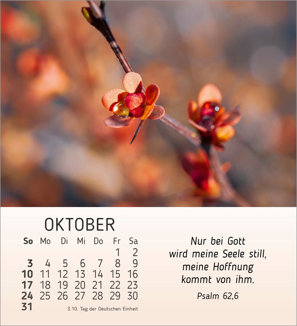 Tischkalender - Stille Begegnungen 2027