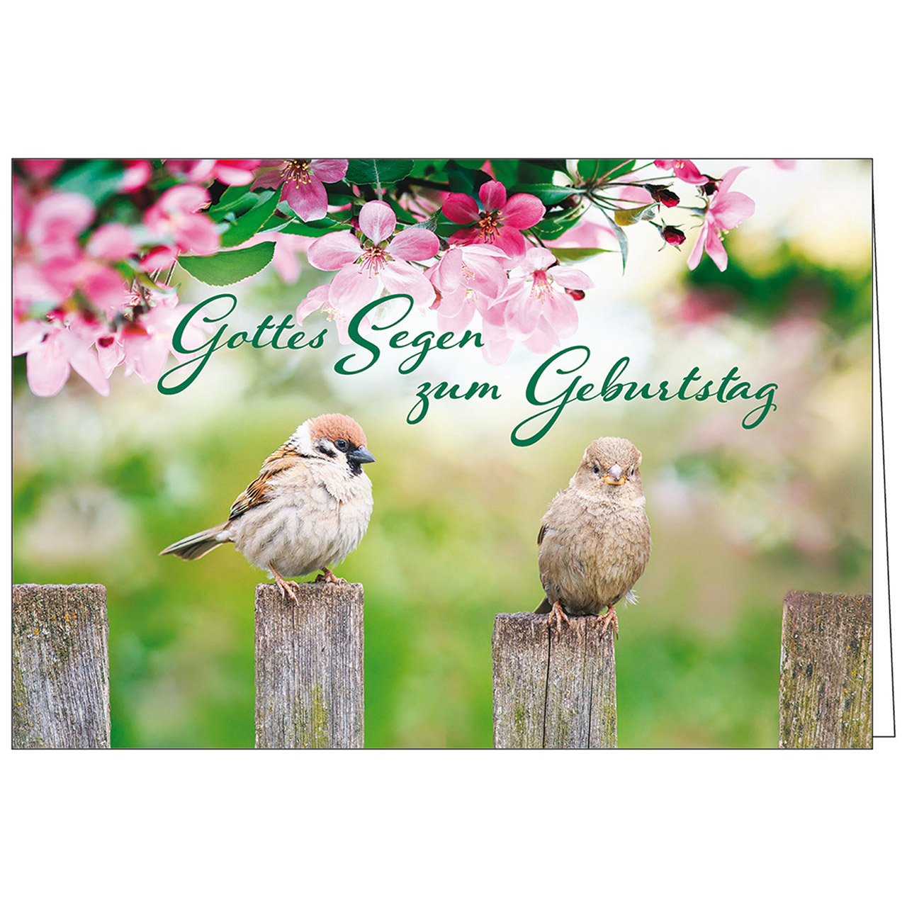 Gottes Segen zum Geburtstag