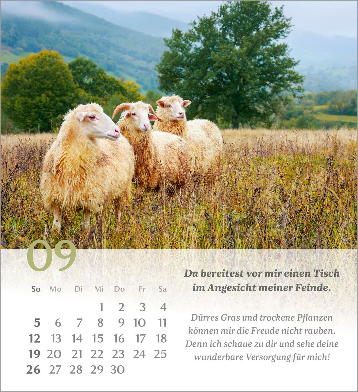 Tischkalender - Psalm 23 2027