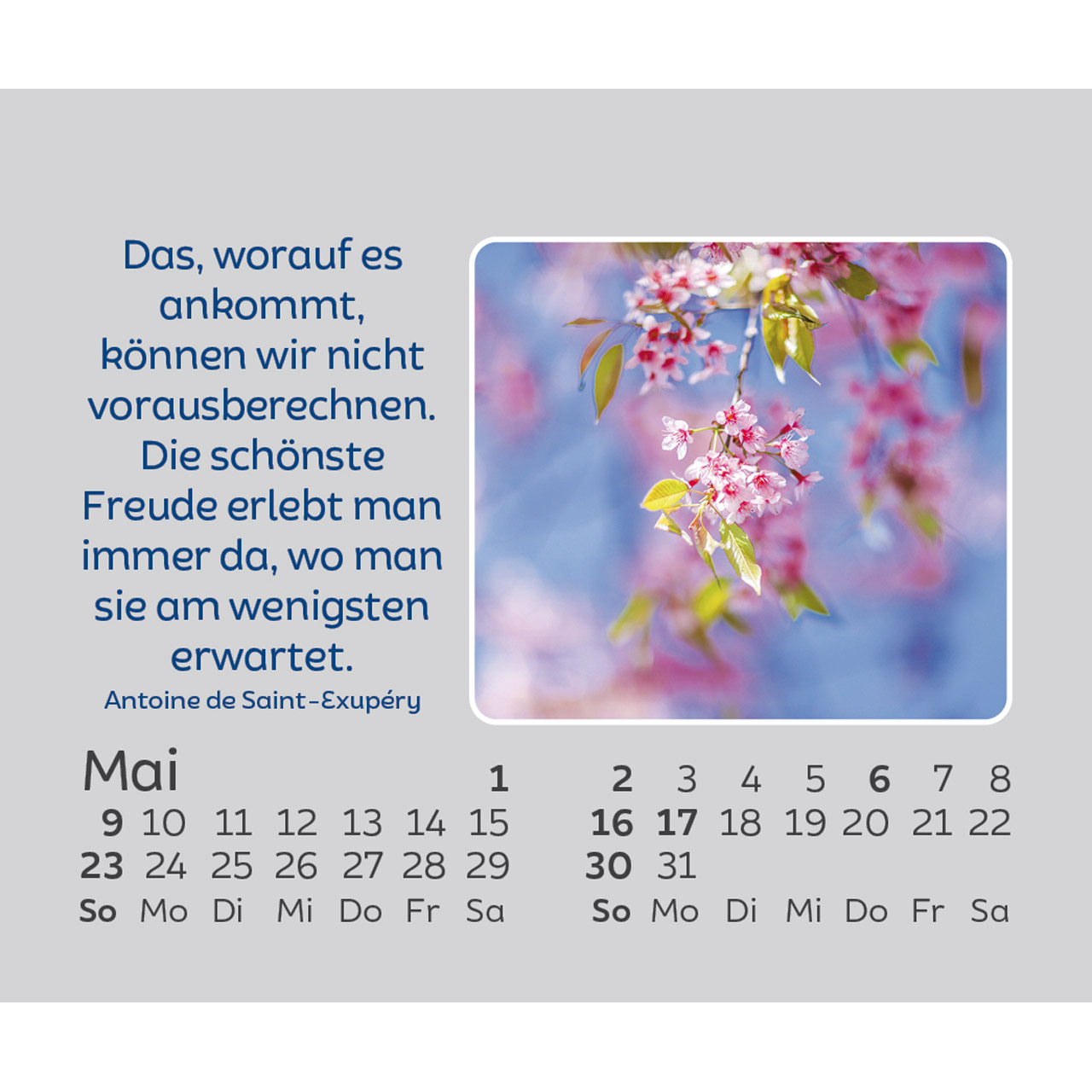 Aufstellkalender - Hoffnung für jeden Tag 2027