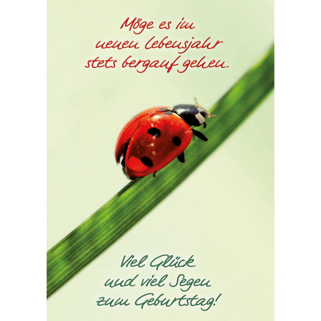 Möge es im neuen Lebensjahr