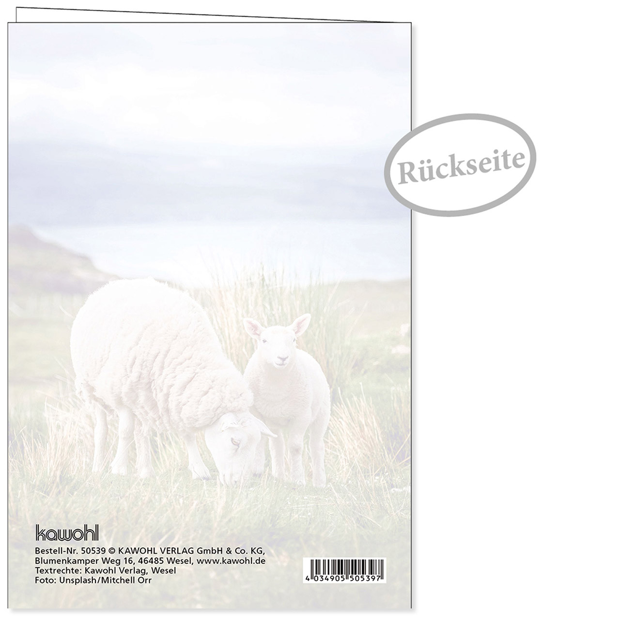 Faltkarte - Freu dich auf das Leben - Schafe