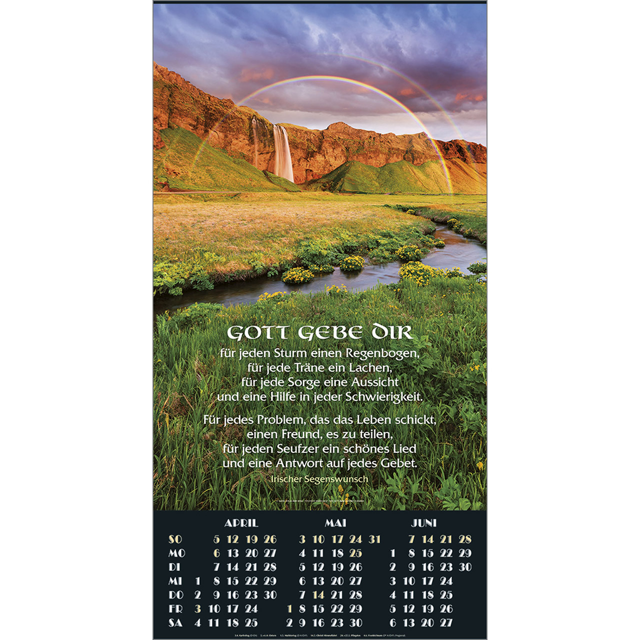 Posterkalender - Posterkalender 2026 - Sprössling Baum Stamm jung Trieb grün