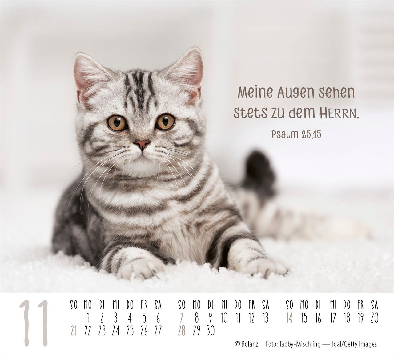 Aufstellkalender - Katzen 2027