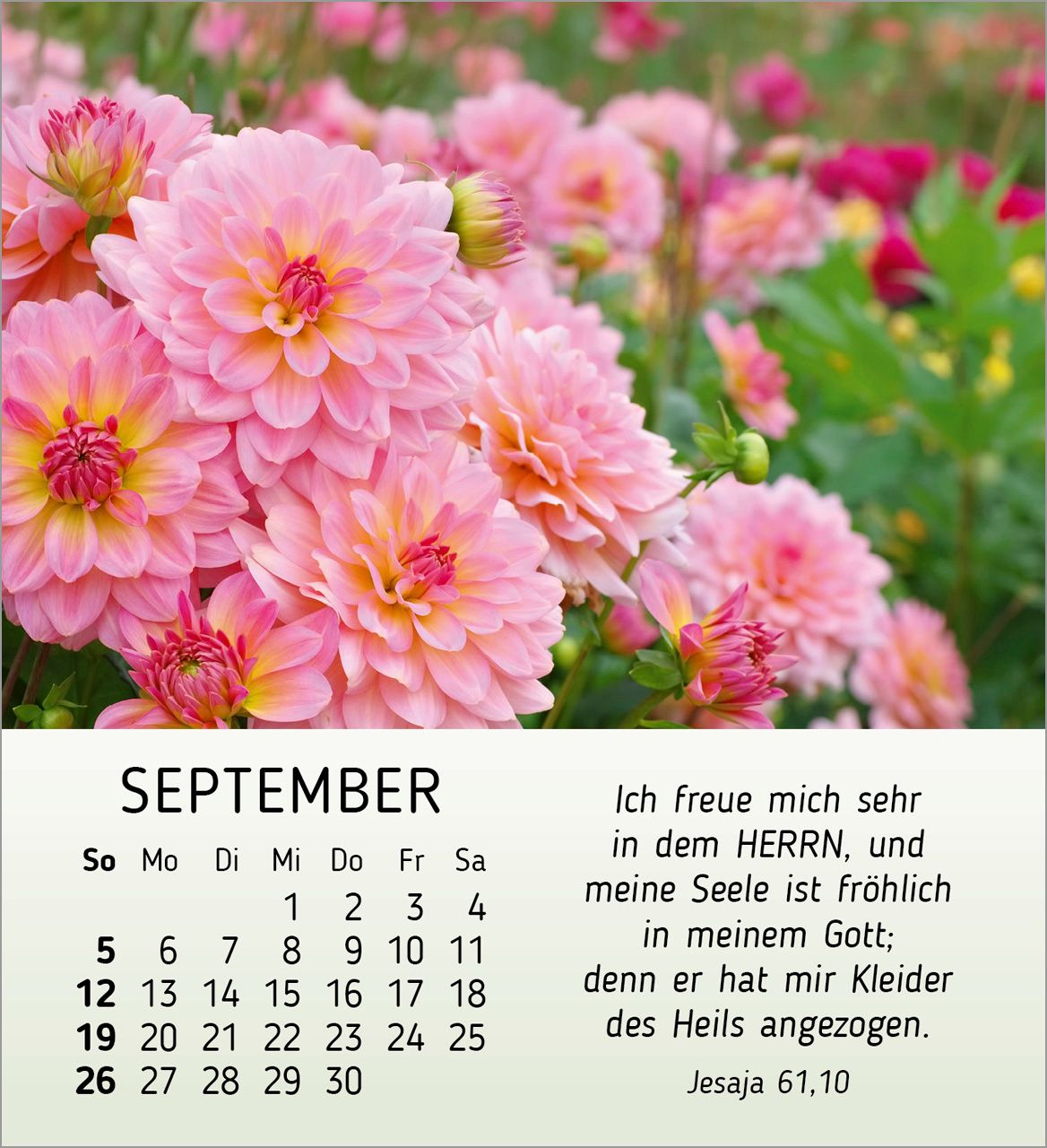 Tischkalender - Ich wünsch dir Freude 2027