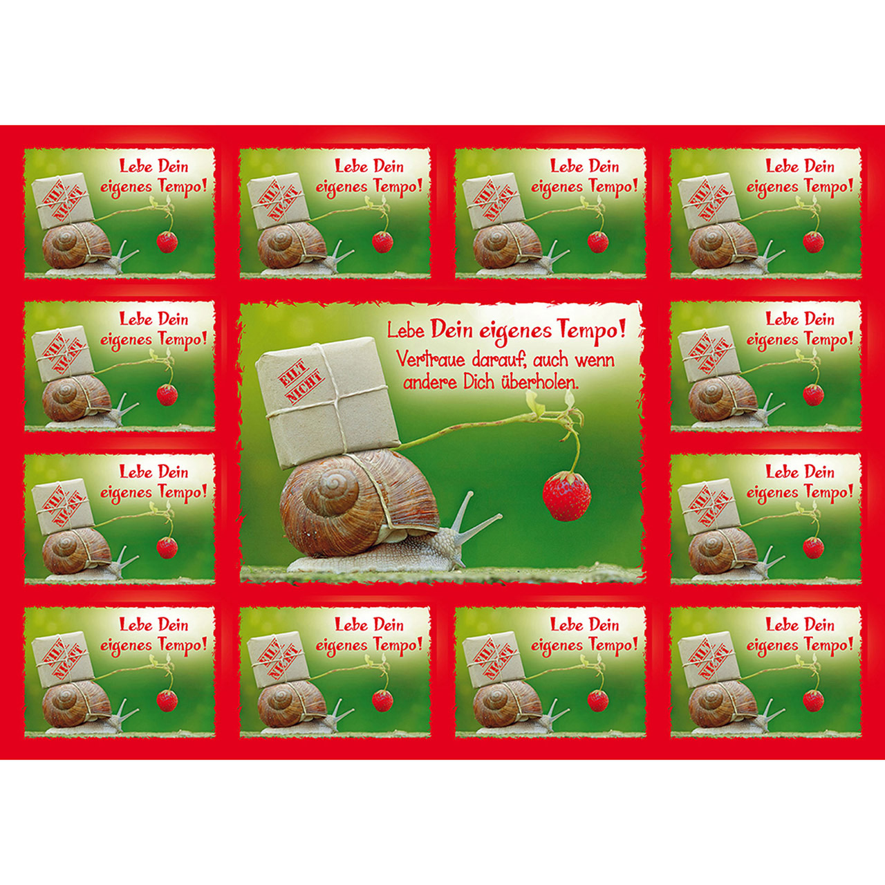 Lebe Dein eigenes Tempo Lebe Dein eigenes Tempo