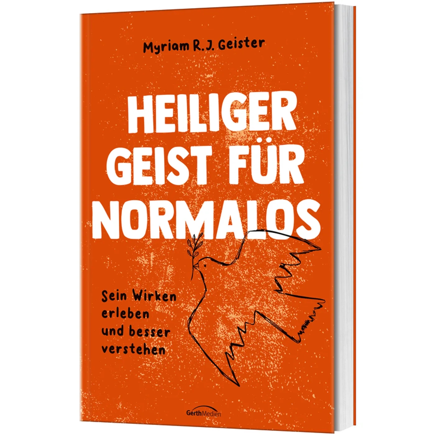 Buch - Heiliger Geist für Normalos