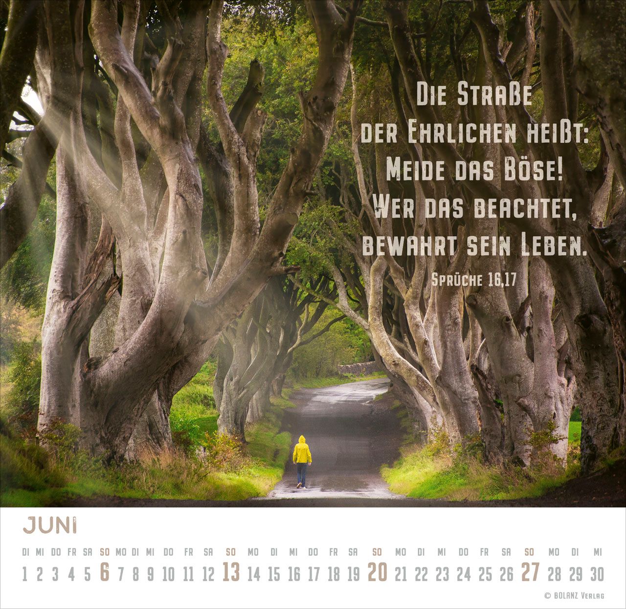 Tischkalender - Freiheit 2027 Tischkalender