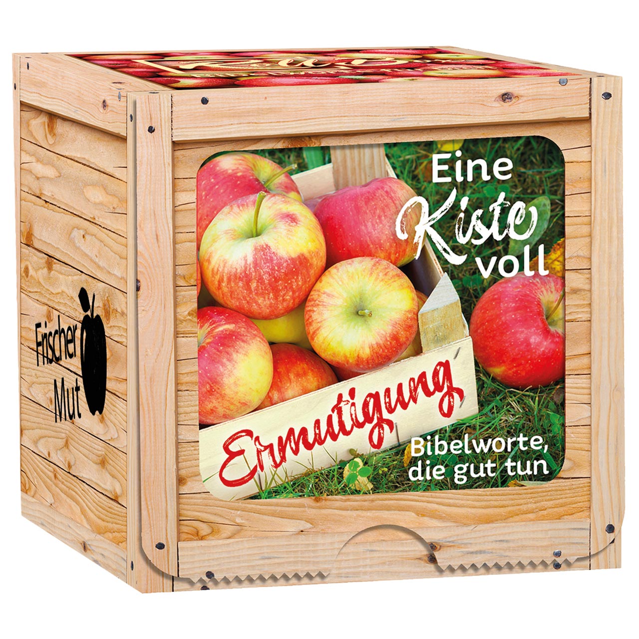 Eine Kiste voll Ermutigung