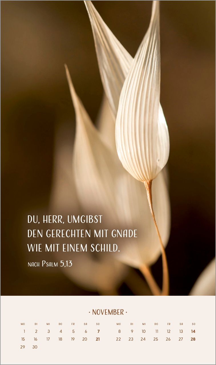 Posterkalender - Zarte Blumengrüße 2027 Posterkalender