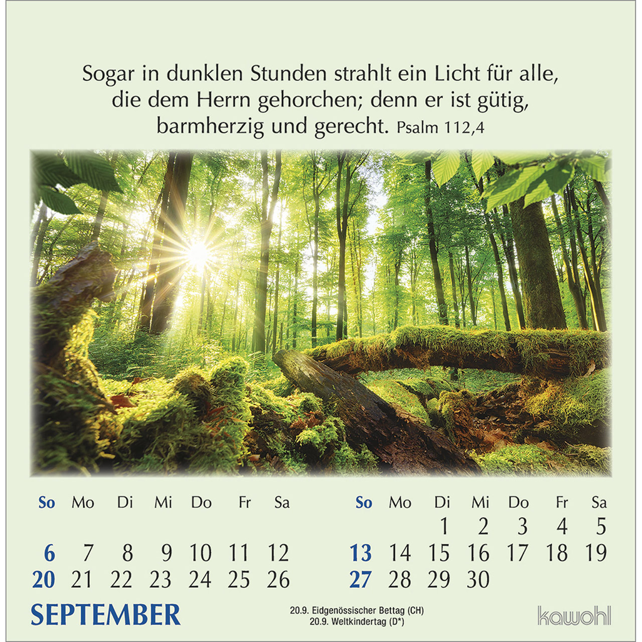 Postkartenkalender - Worte des Lebens 2026