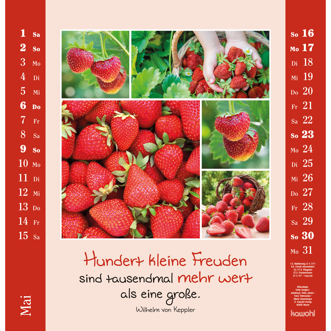 Wandkalender - Kleine Freuden entdecken 2027