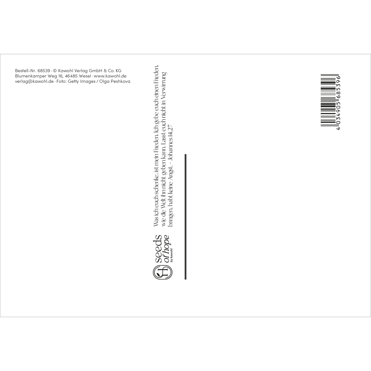 Postkarten - mein frieden. - Pampasgras Grafik