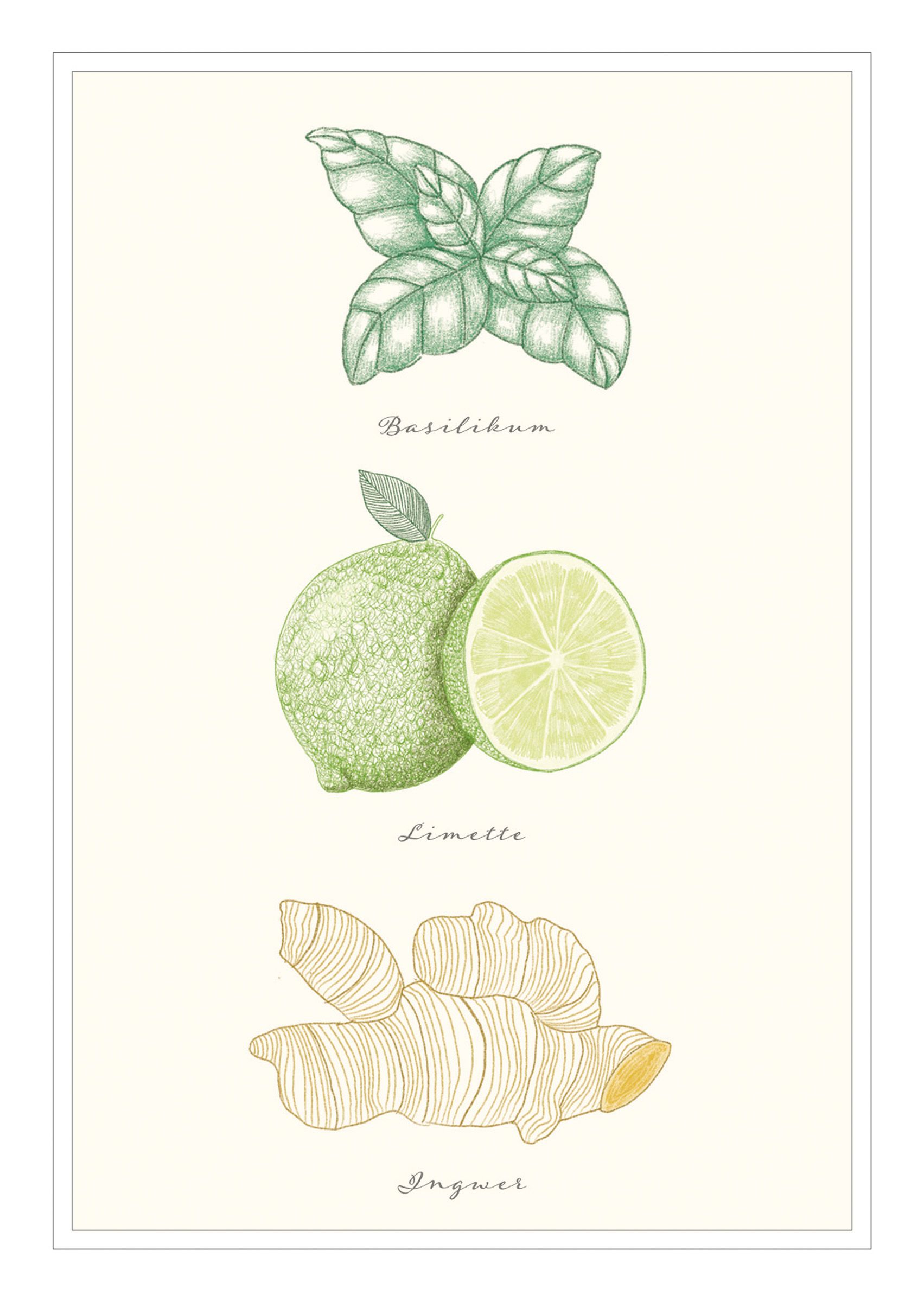 Postkarten - Postkarte 'Basilikum Limette Ingwer' - Postkarte Limette Ingwer Basilikum