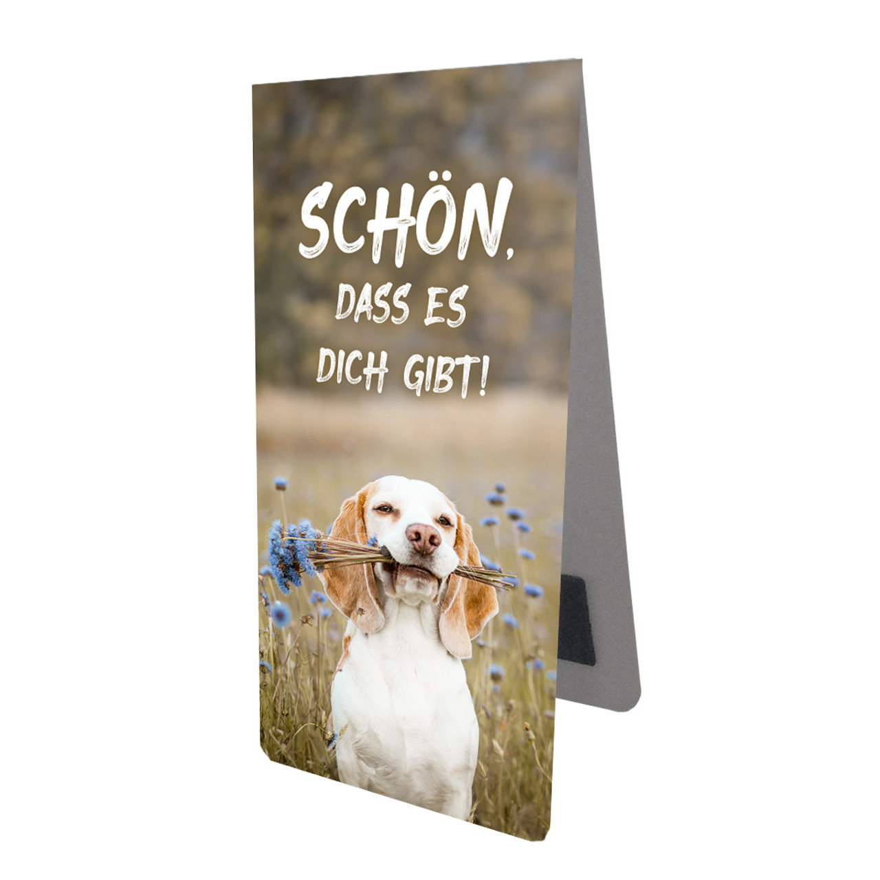 Magnetlesezeichen 'Schön, dass es dich gibt!'