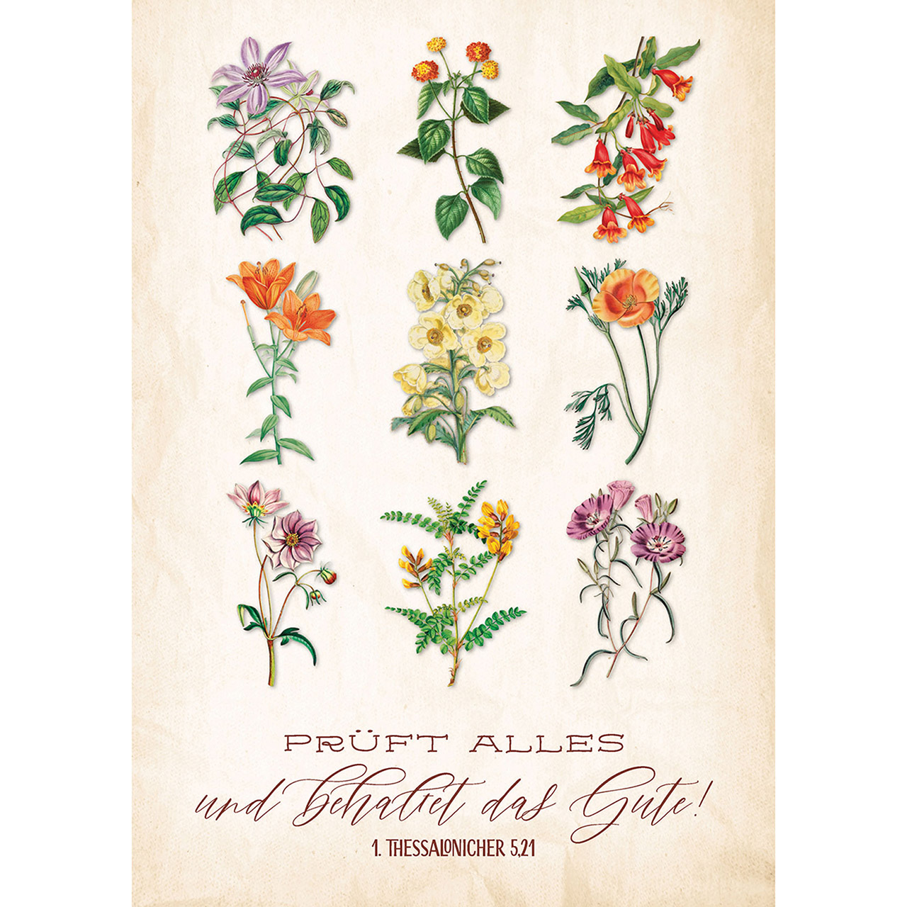 Postkarten - Prüft alles und behaltet das Gute! - Blumen Grafik historisch