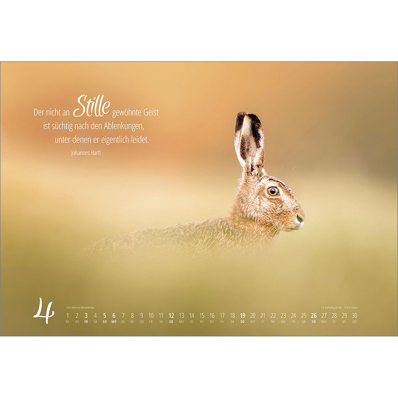 Wandkalender - Real Wildlife 2026