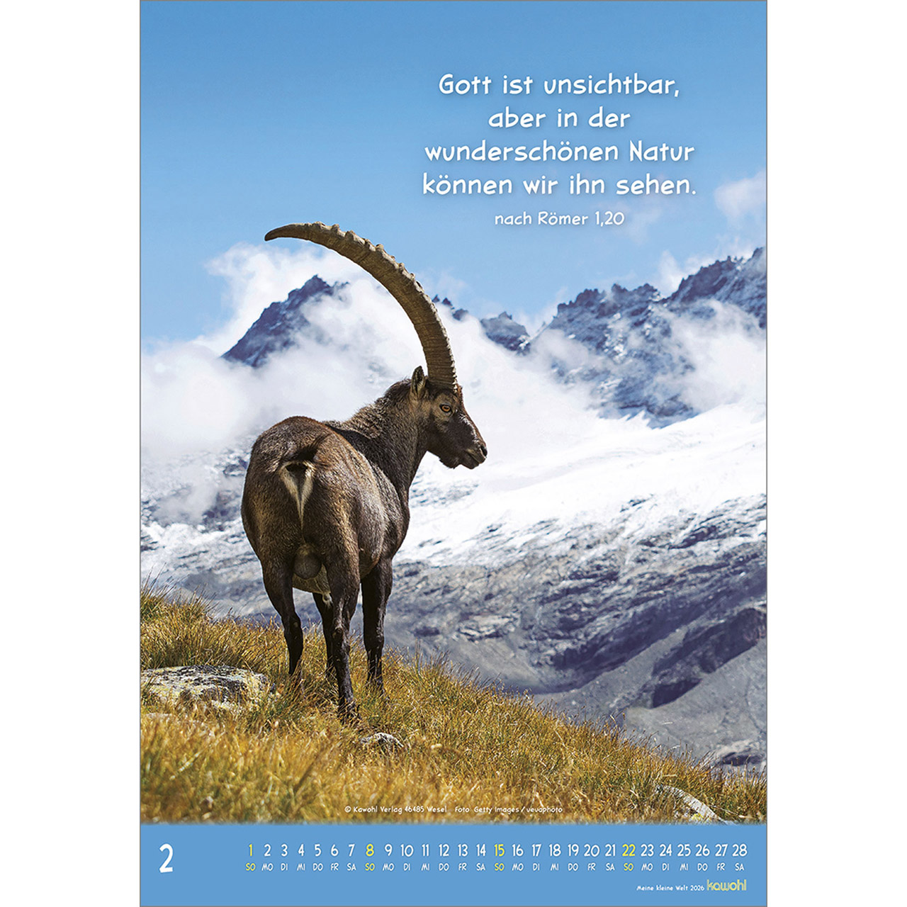 Wandkalender - Meine kleine Welt 2026