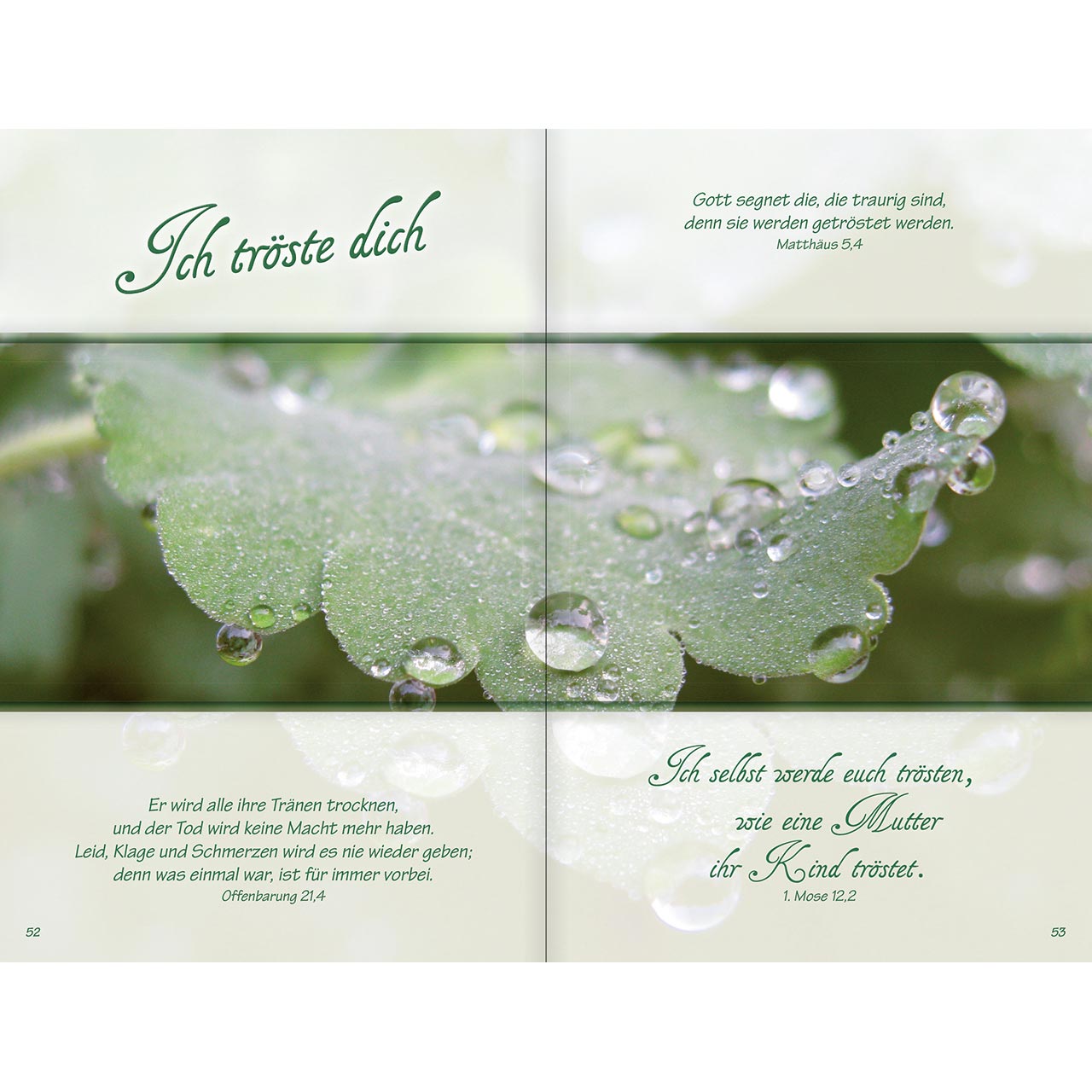 Geschenkbuch - Ich bin da, dir ganz nah - rosa Blumen
