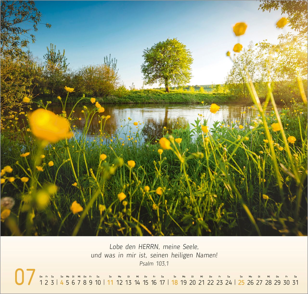 Wandkalender - Licht-Impressionen 2027 Wandkalender