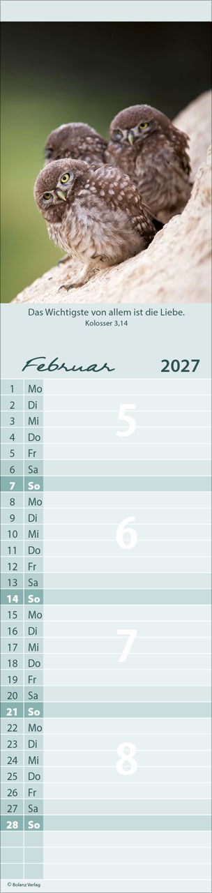 Terminkalender - Für Euch 2027 Streifenterminkalender
