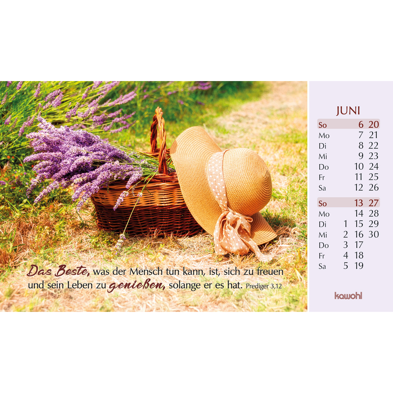 Postkartenkalender - Heute und morgen bin ich geborgen 2027
