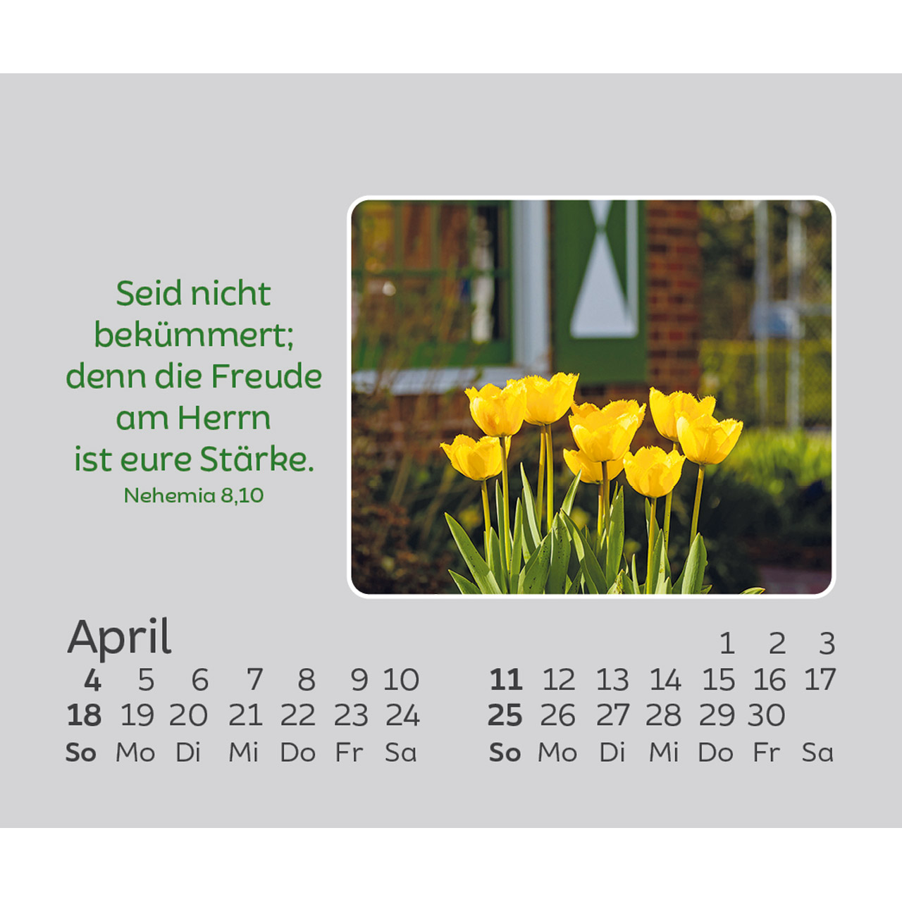 Aufstellkalender - Freude für jeden Tag 2027