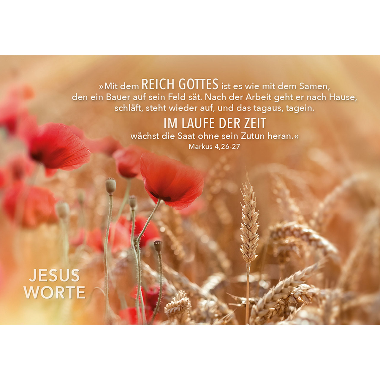 Karten-Aufstell-Etui - Seid ohne Sorge - Sonne Bäume Vögel Vogelschwarm