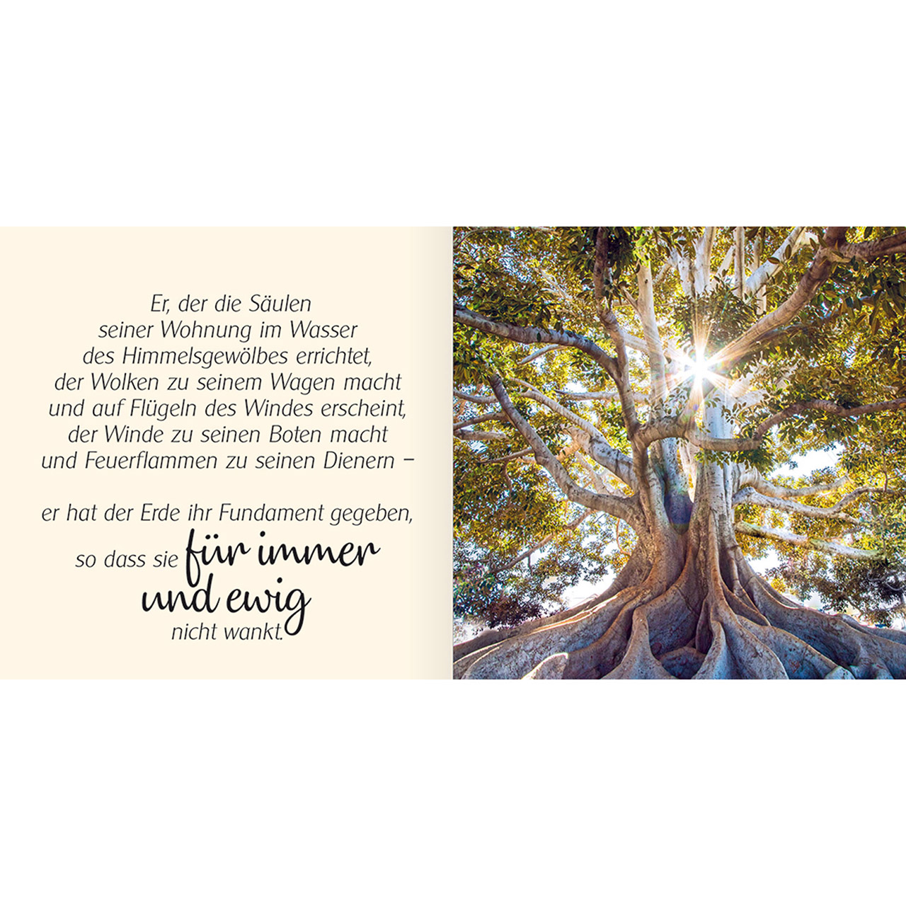 Geschenkbuch - Ich schenke dir Psalm 104 - Vogel Blaumeise Zweig rosa Blüten