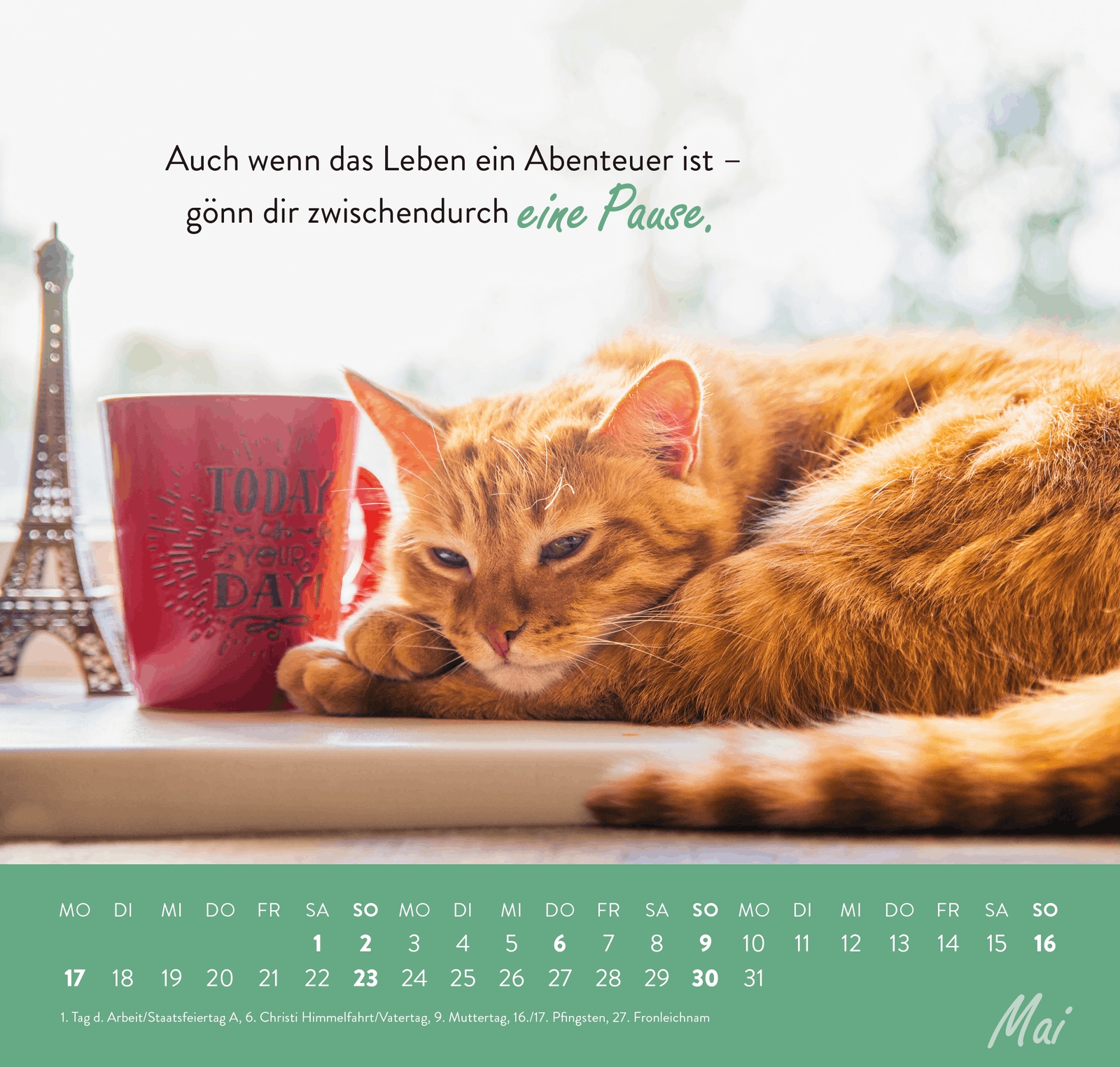 Wandkalender - Einfach mal abhängen 2027 - Katze