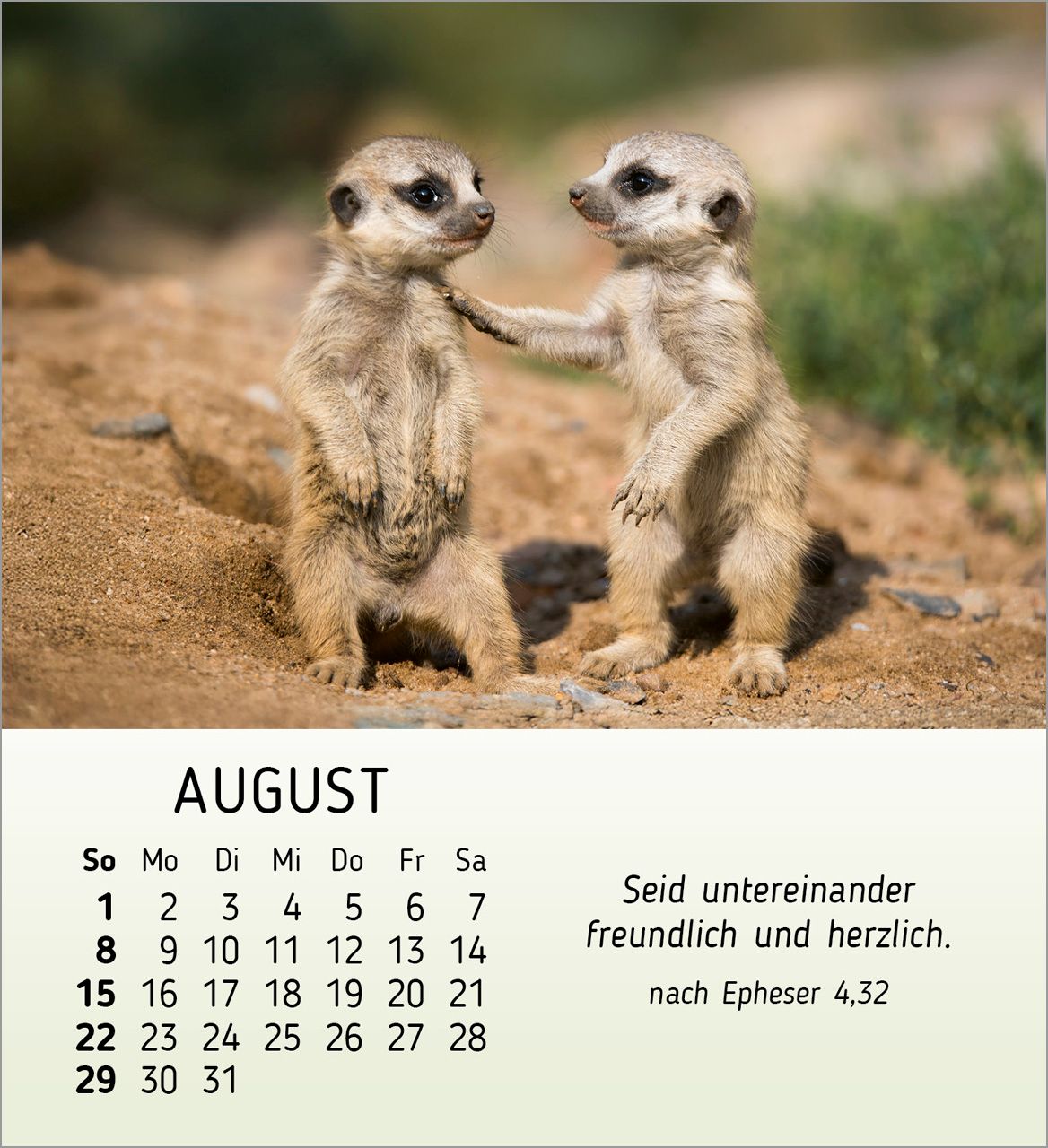 Tischkalender - Meine kleinen Freunde 2027