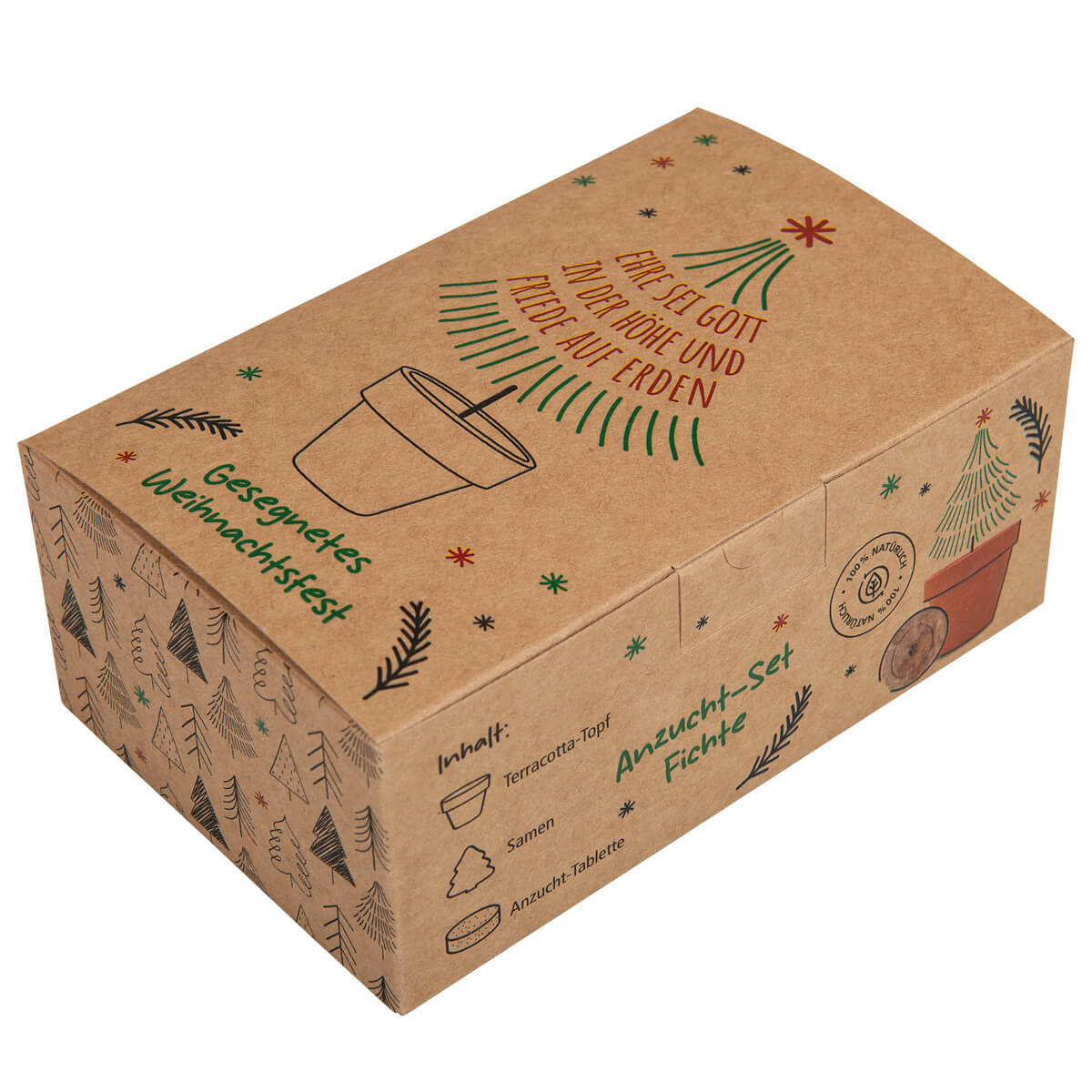 Saatgut - Anzucht-Töpfchen Fichte in Geschenkbox