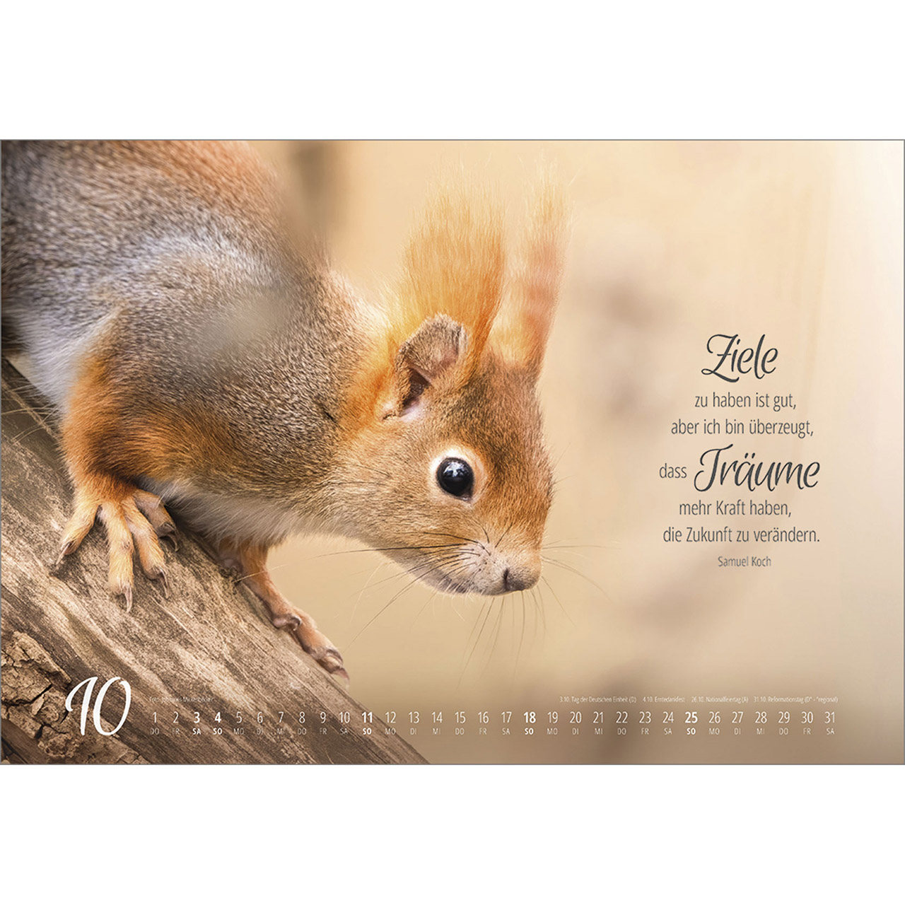 Wandkalender - Real Wildlife 2026