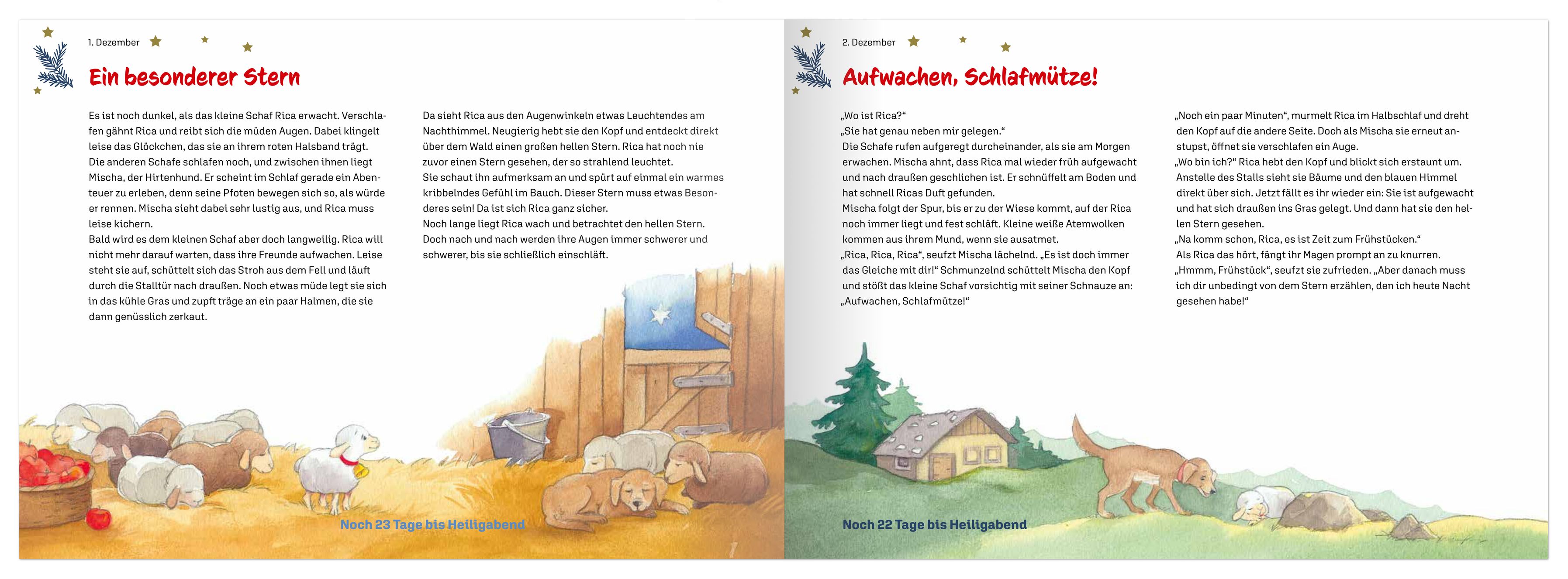 Adventskalender - Rica und der geheimnisvolle Stern