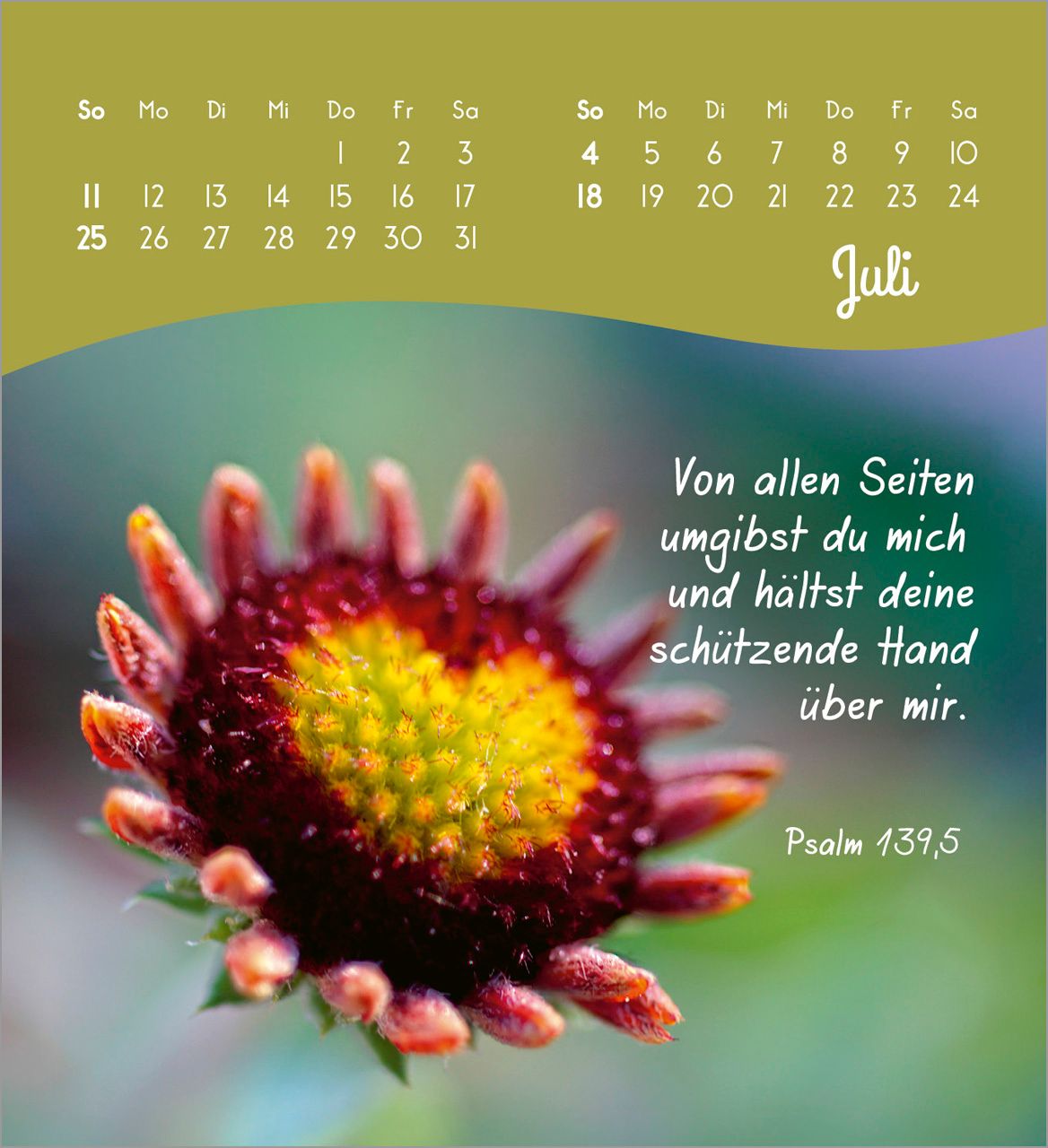 Tischkalender - Von Herzen ein glückliches Jahr 2027