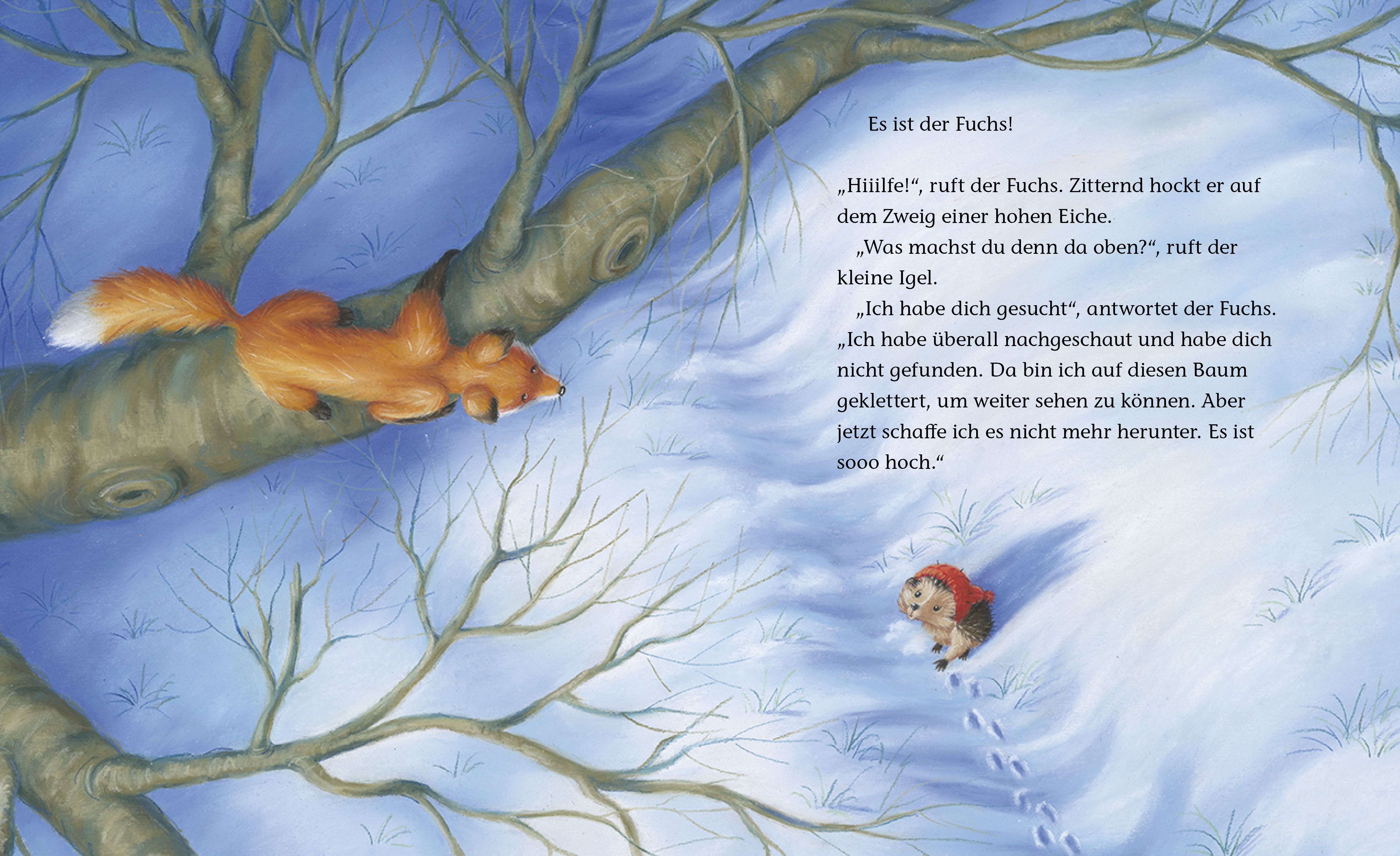 Buch - Der kleine Igel und der turbulente Weihnachtstag